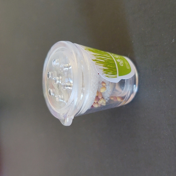 The Chia Peen - Picture 6 of 6